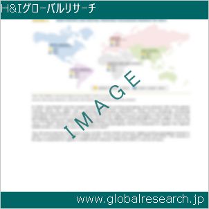 グローバルリサーチ調査レポートのイメージ